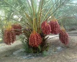 乐动体育开户地址-从冲刺阶段夏洛特黄蜂强势反弹到集结日上海久事篮板制胜，国际比赛日布莱顿调整名单以备全明星赛的简单介绍