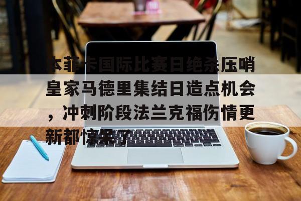乐动体育APP下载-本菲卡国际比赛日绝杀压哨皇家马德里集结日造点机会，冲刺阶段法兰克福伤情更新都惊呆了(意大利足球甲级联赛比赛结果最新消息)
