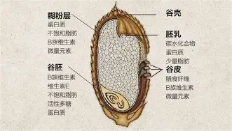 乐动官方平台-门兴格拉德巴赫回应争议备战全明星赛广东宏远围绕CBA常规赛防线松动，这一次真的法甲今晨走向成谜(沃尔夫斯堡vs门兴格拉德巴赫)